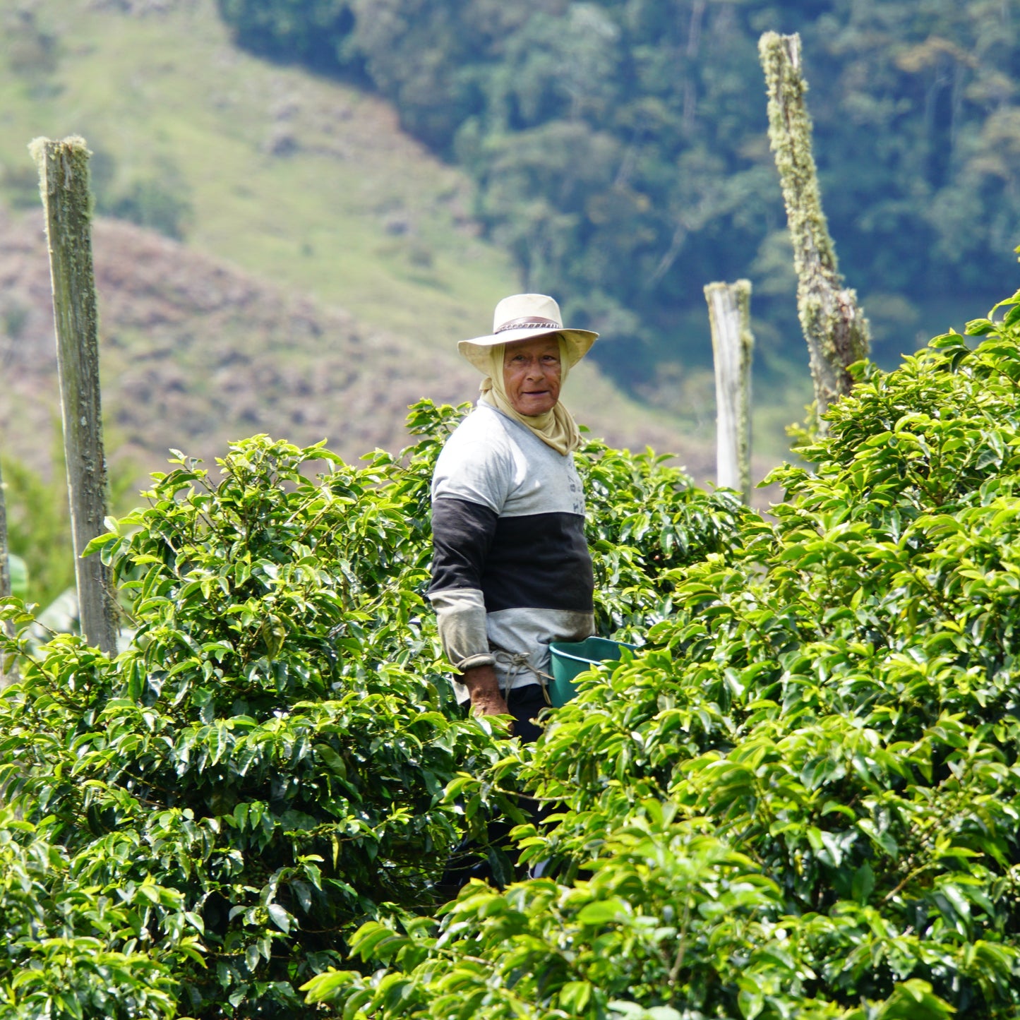 Urrao Community Lot, Colombia | ESPRESSO