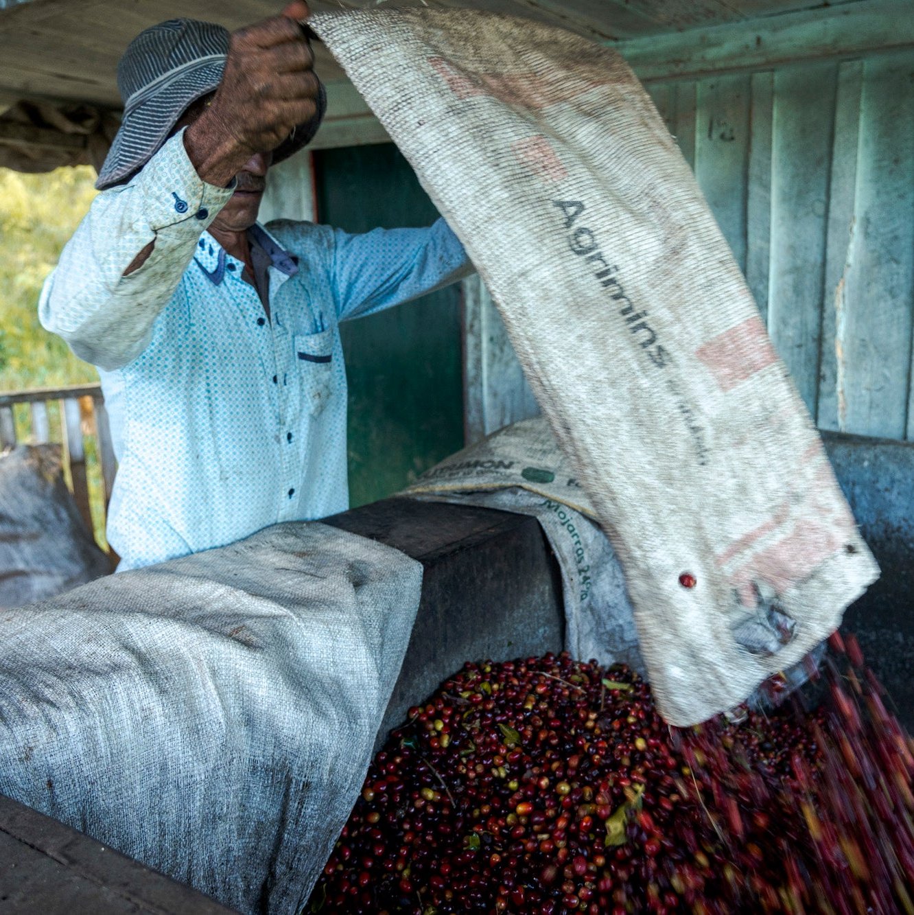 Finca Canta Ranas, Colombia | FILTER