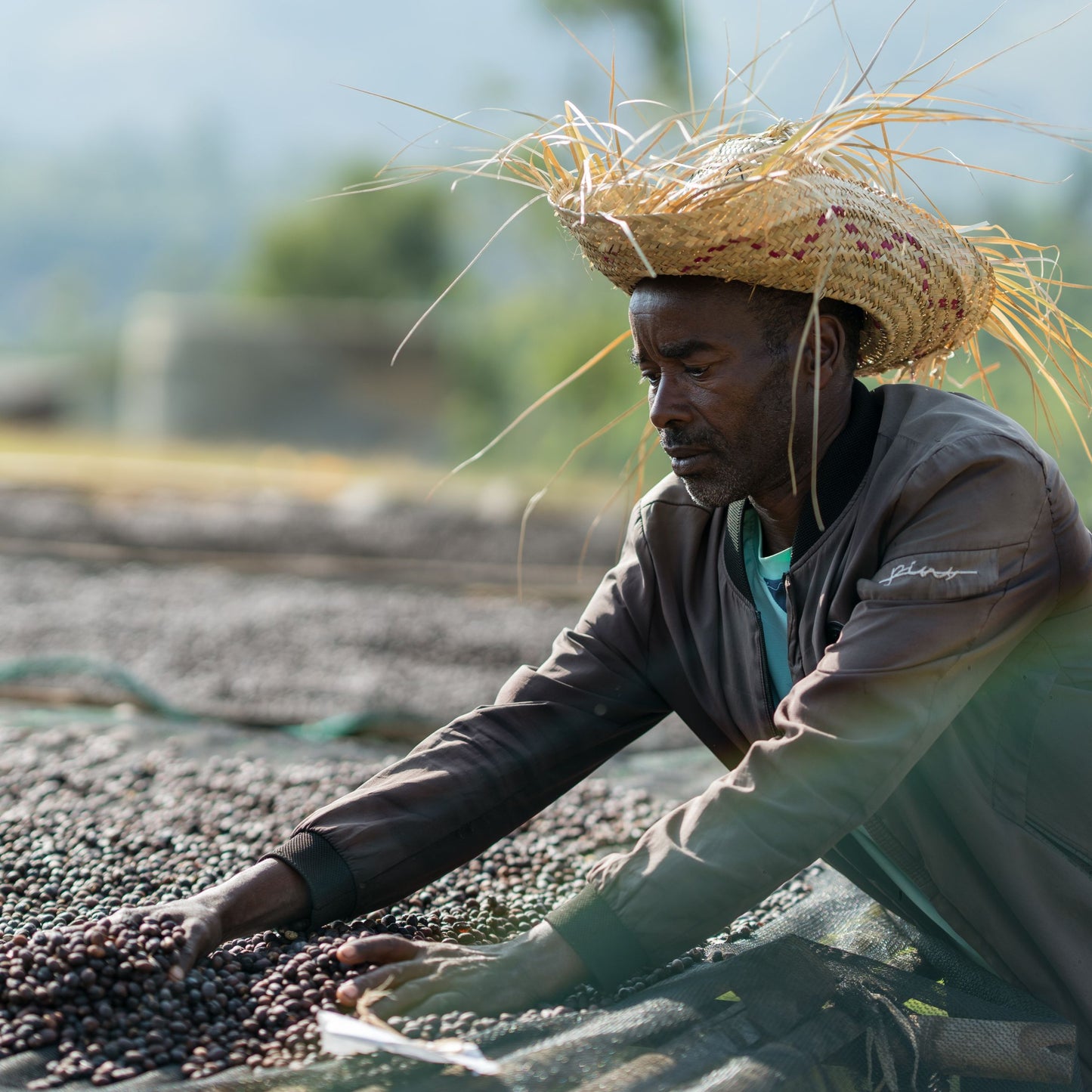 Sidama Damo Natural, Ethiopia | FILTER