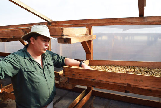 Finca Santa Clara ﻿Pacamara, Guatemala | FILTER