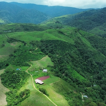 Finca Santa Teresa, Colombia | FILTER