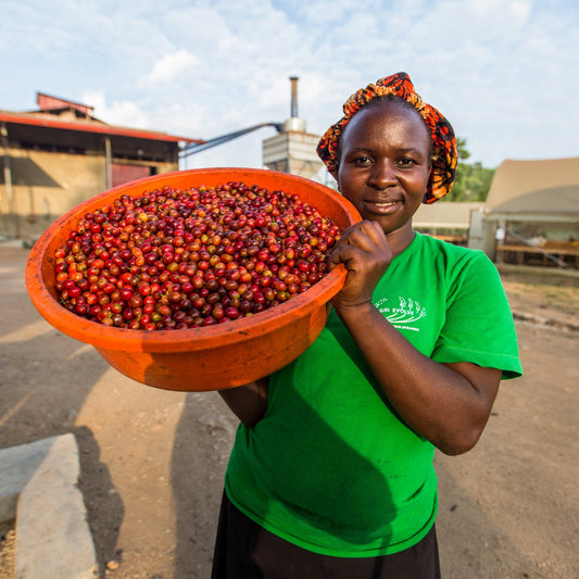 Rwenzori Kisinga, Uganda | ESPRESSO